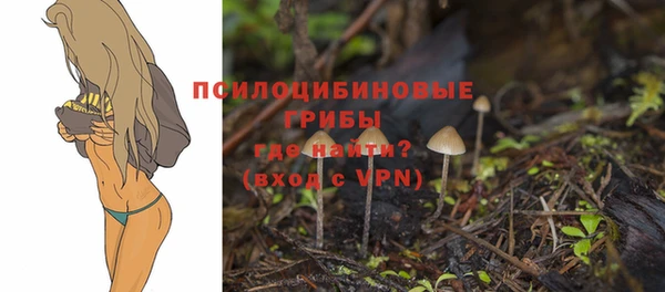 СК Бородино