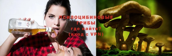 ешки Бронницы