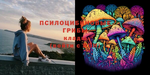 ешки Бронницы