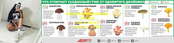 ешки Бронницы
