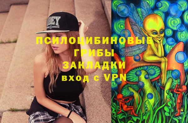 ешки Бронницы