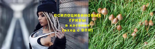 ешки Бронницы