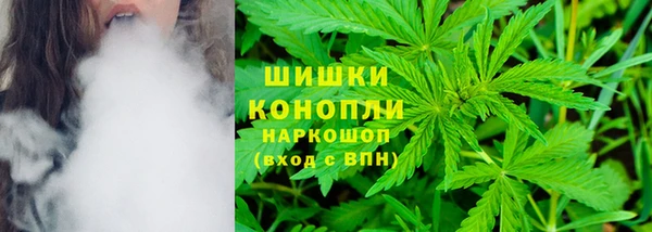 сатива Бугульма