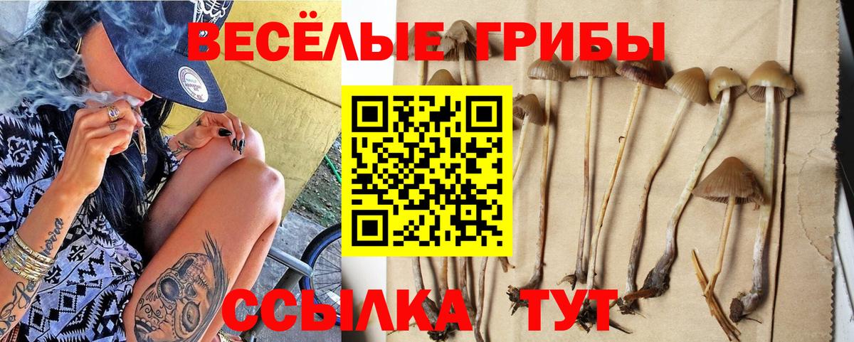 Галлюциногенные грибы GOLDEN TEACHER Великий Устюг