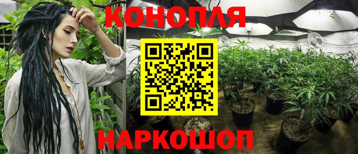 Канабис Ganja  Вход с VPN  Великий Устюг  Бошки марихуана индика  Шишки марихуана план 